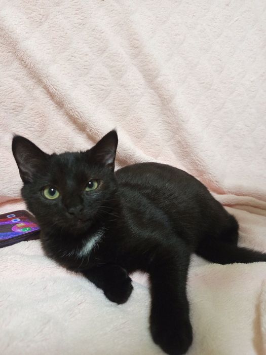 Чорний малюк із великим серцем чекає на свій дім