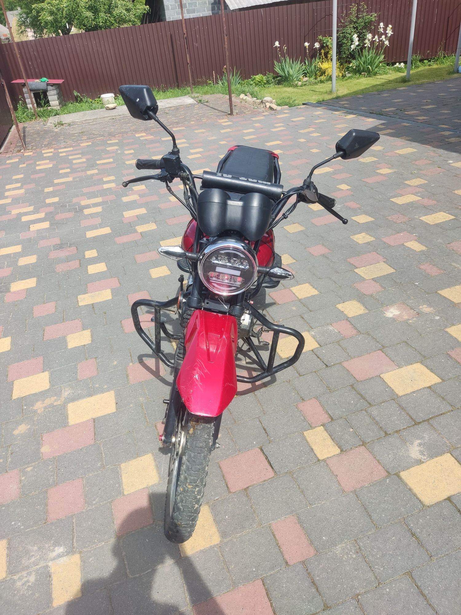 Musstang dingo XL