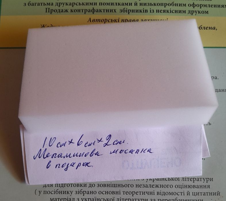 Писатель Анн и Серж Головко