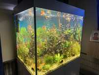 Akwarium juwell  Lido 200l zestaw biale