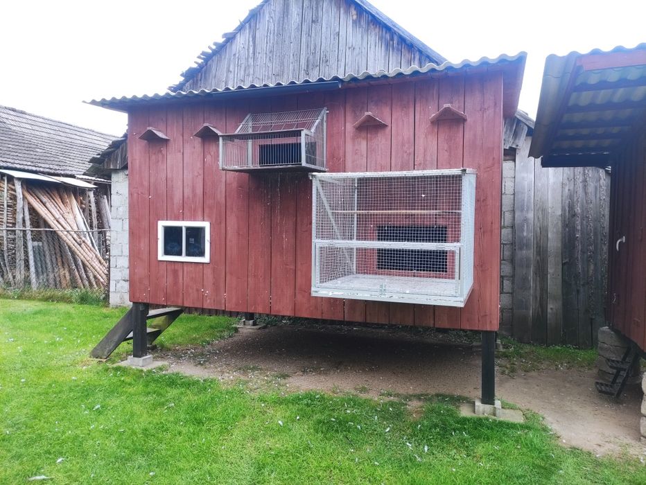 Sprzedam Gołębnik  4×2,5