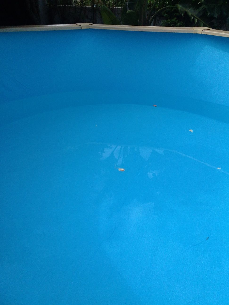 Limpeza terrenos, relva natural e sintética,montagem piscinas, liners