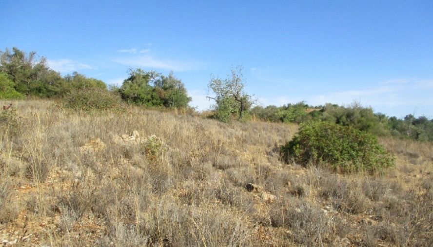 Terreno rustico em S. Sebastião - Loulé