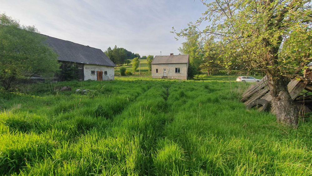 SOLINA  Łobozew Dolny 20ar Działka z Domem
