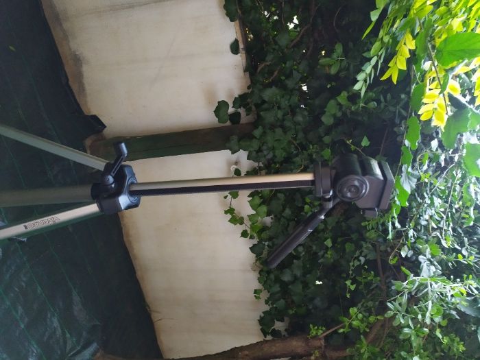 Tripé Vivanco VS 111