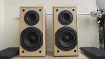 Kolumny TECHNICS SB-HD 310