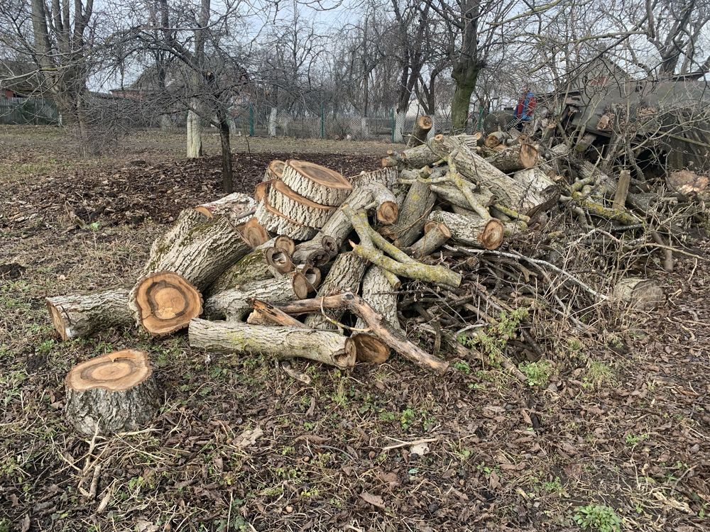 Дрова горіх рівне не рубані ціна договірна
