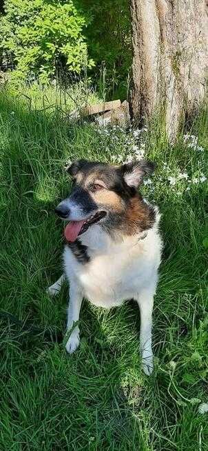 Nerunia szuka miejsca u boku Człowieka, który ją pokocha.