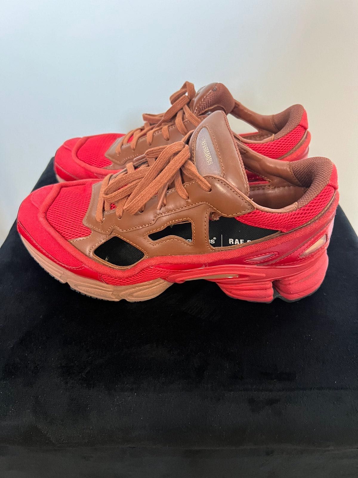 Adidas Raf Simons x Replicant Ozweego Limited Edition