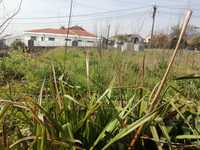 Terreno Pousada de Saramago