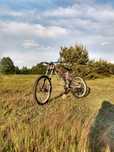 Norco aurum 2 (dh,fr)