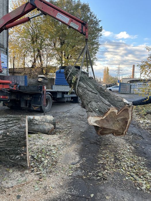 Услуги манипулятора