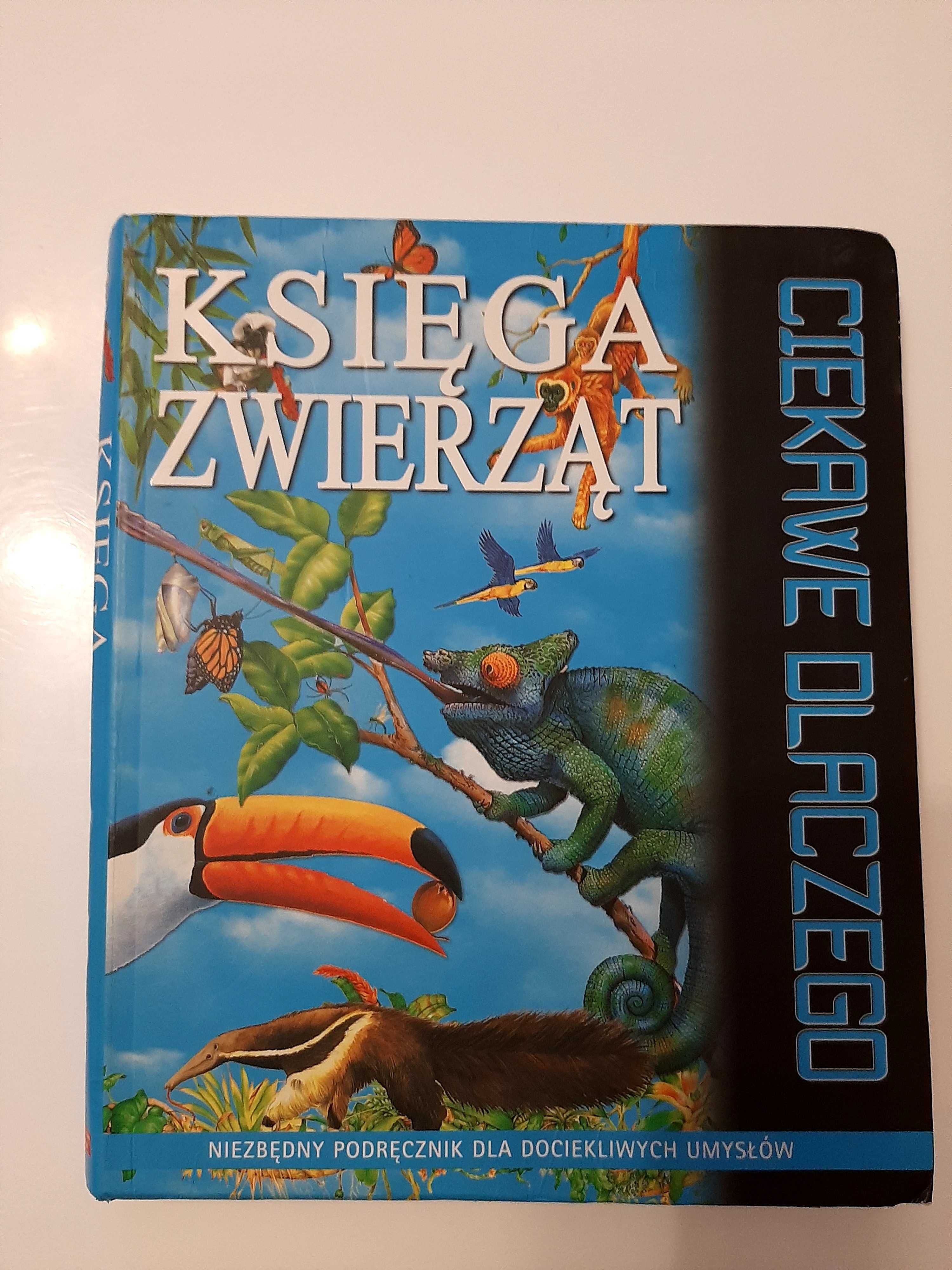 Księga zwierzęta. Podręcznik dla dociekliwy