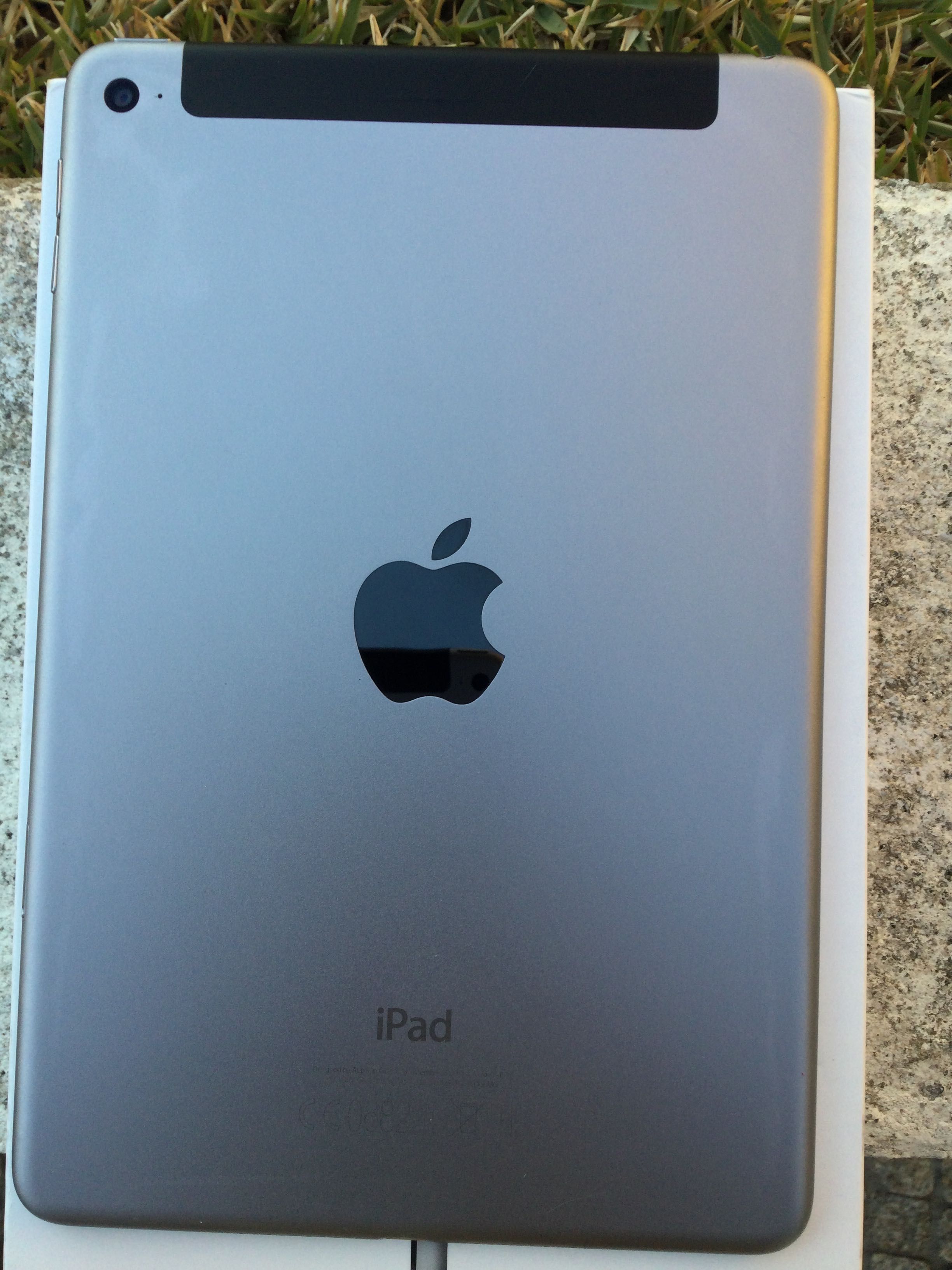 iPad mini 4 Wi-Fi + Celular 16 GB