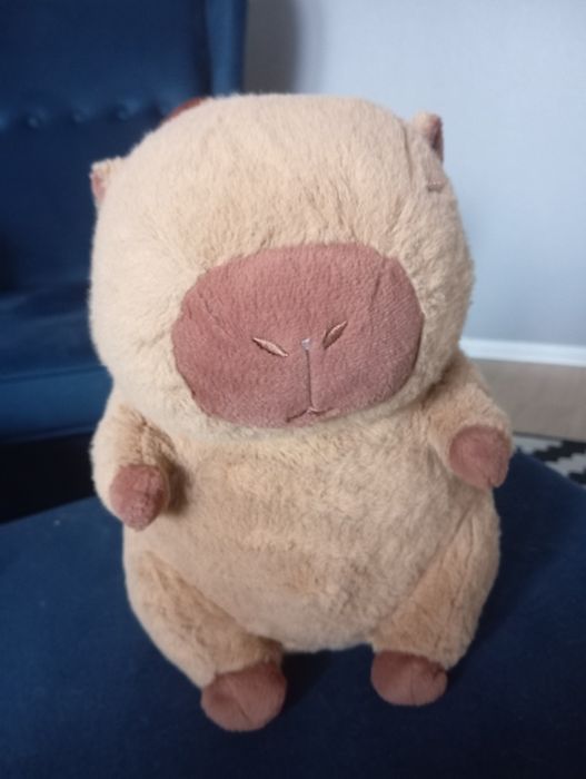 Sprzedam pluszak Kapibara