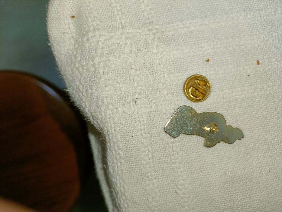 Pin figura Leo metal