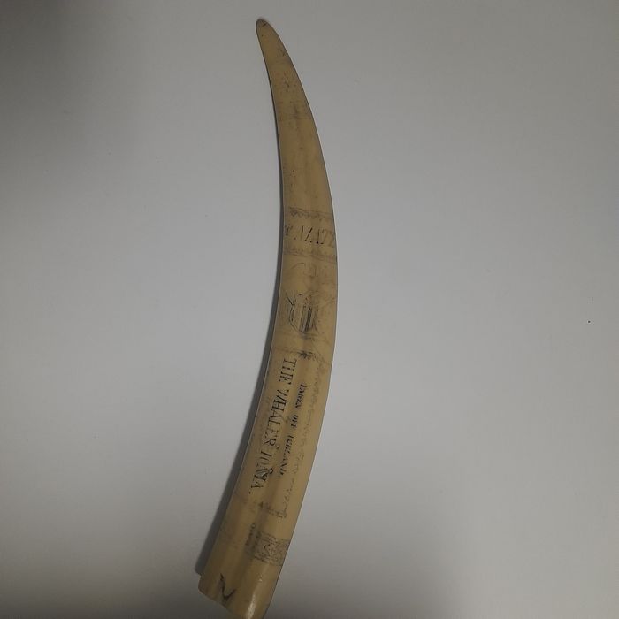 Presa Marfinite (com inscrições)