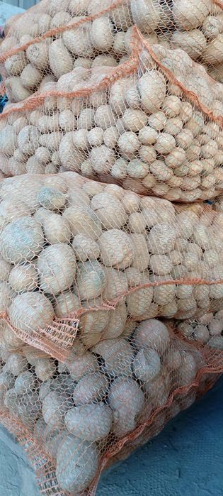 Ziemniaki odpadowe 7.50 worek 30 kg