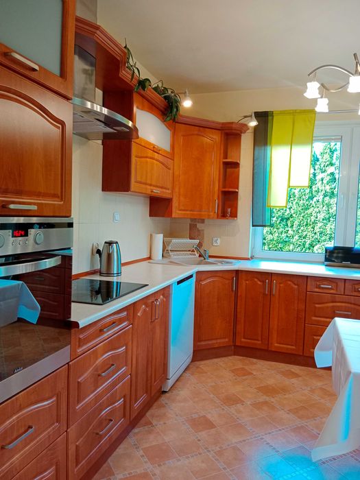 Pokój 1-osobowy/wyposażony/ TV/wi-fi/ parking/ogród