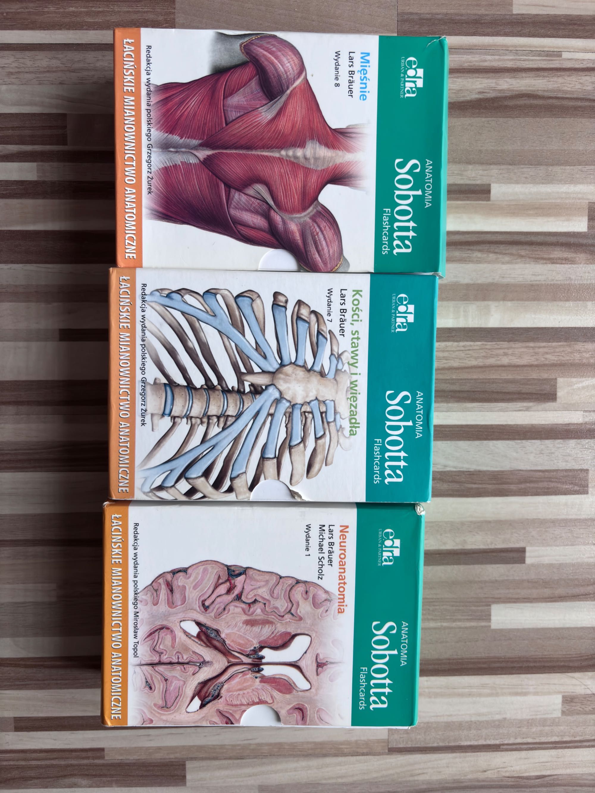 Fiszki Sobotta Anatomia 3 części