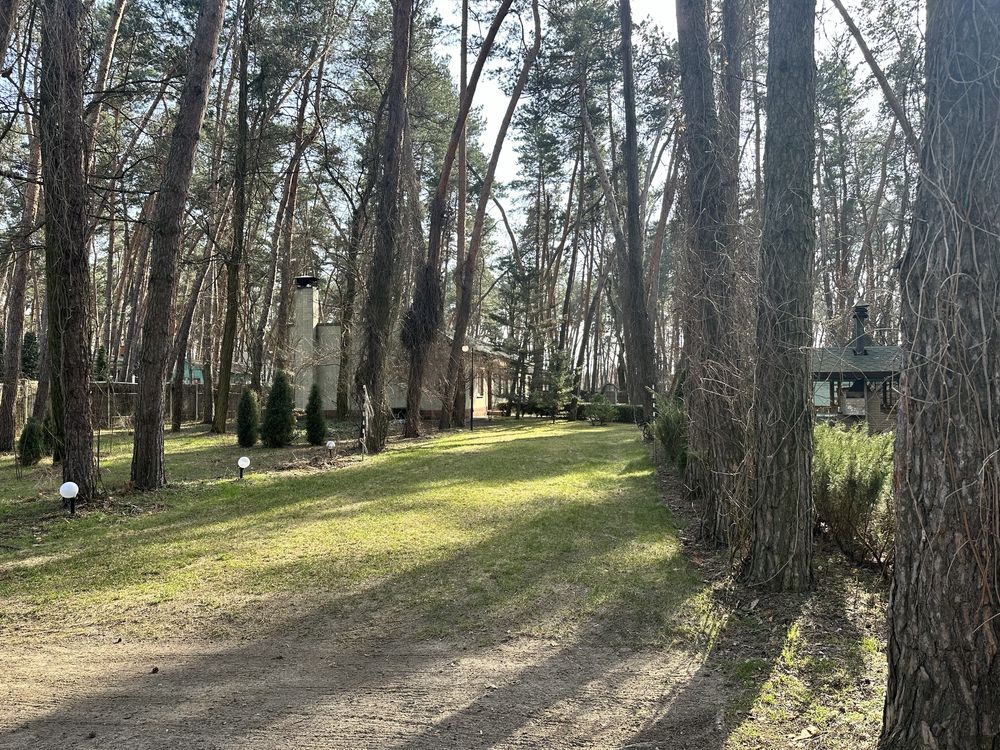 Аренда дома на две семьи в Обуховке, в лесу, возле дачи Горца.