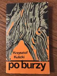 Książka „Po burzy”