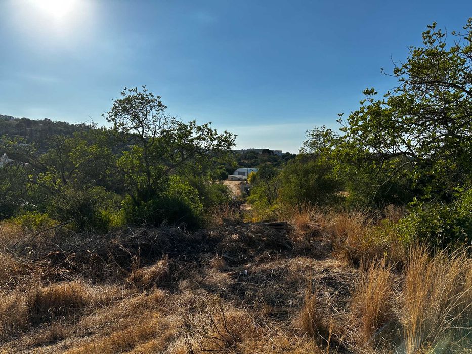 Terreno Rustico em Boliqueime, Ribeiro