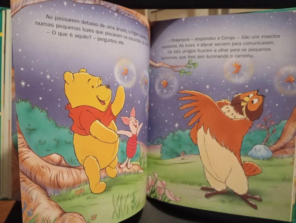 Livro "as aventuras do ursinho Winnie"