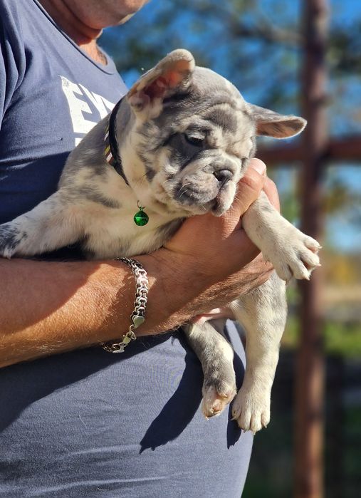 Шикарный парнишка