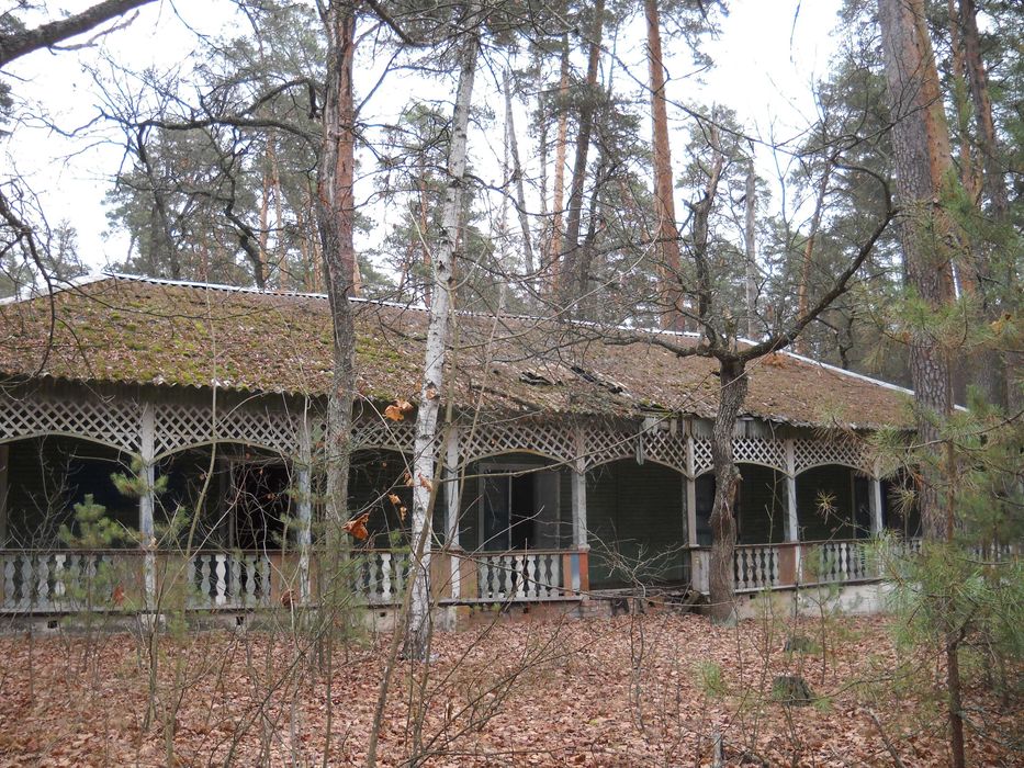 Детский  оздоровительный лагерь