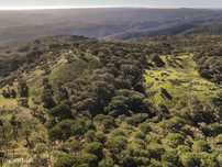 Terreno 13 hectares - Grândola
