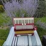 Akordeon Hohner  60