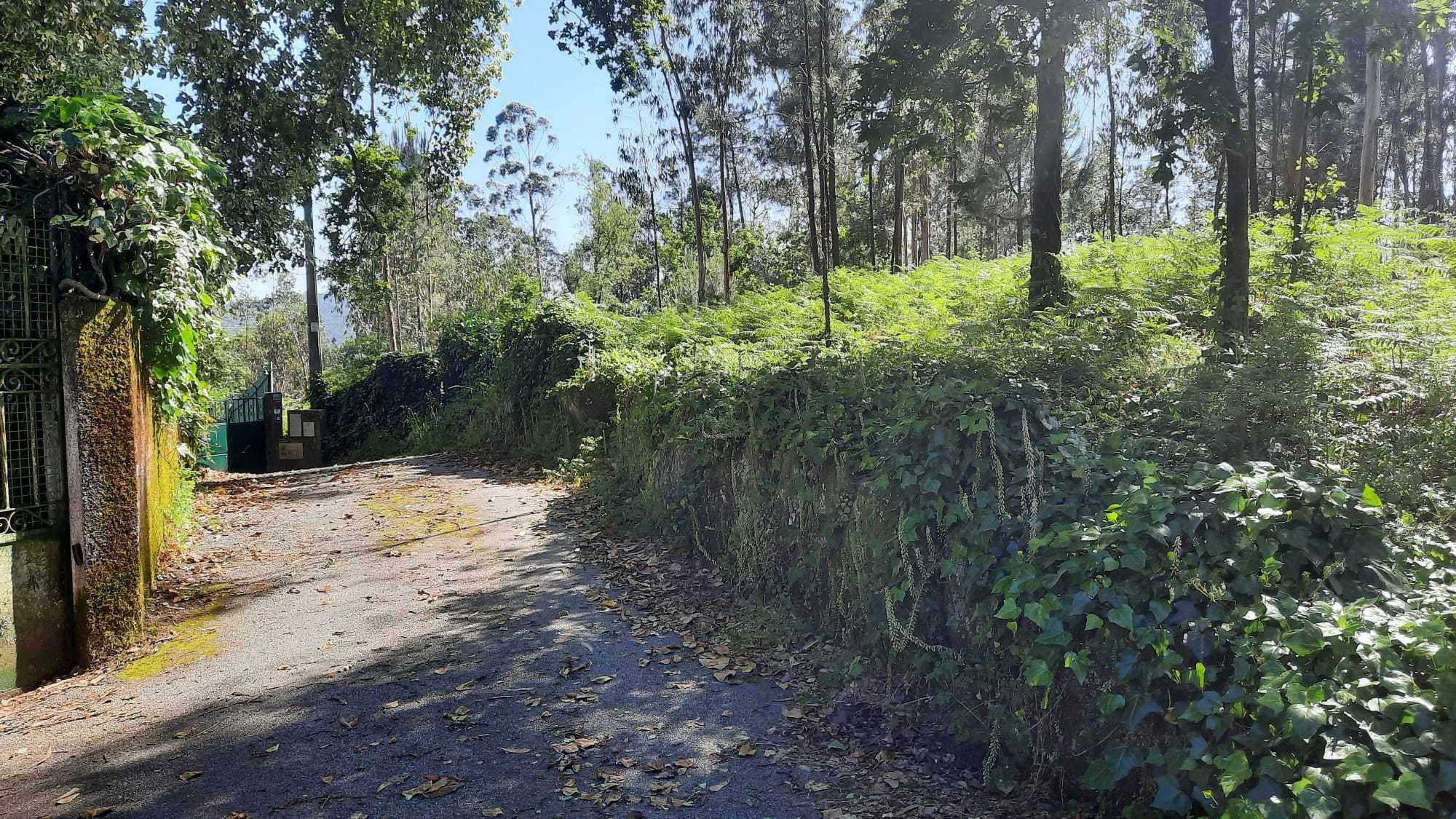 Lote de Terreno para Construção c/3.283,22m2- Ardegão – Ponte de Lima