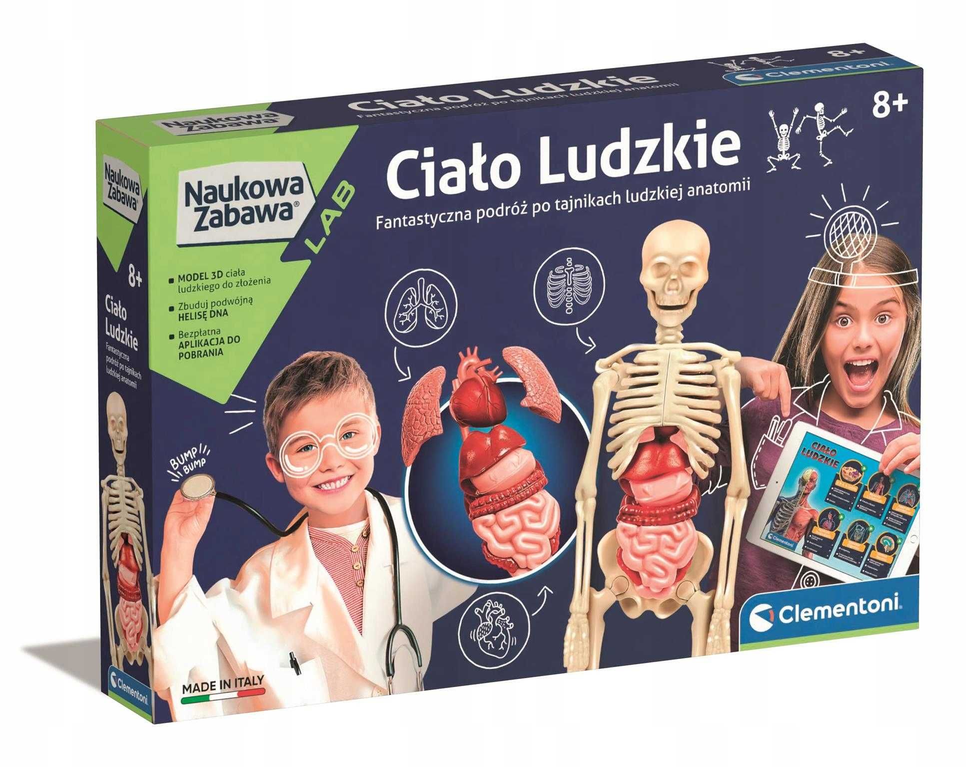 Ciało Ludzkie Człowieka ZESTAW SZKIELET Clementoni