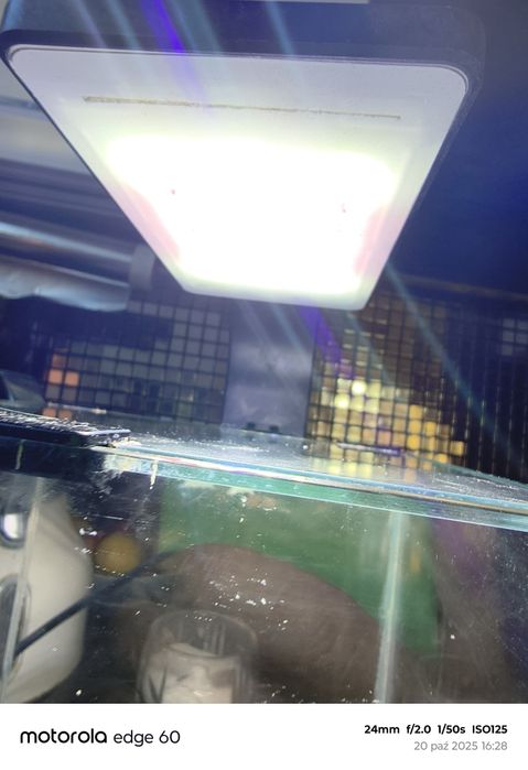 Sprzedam małe akwarium