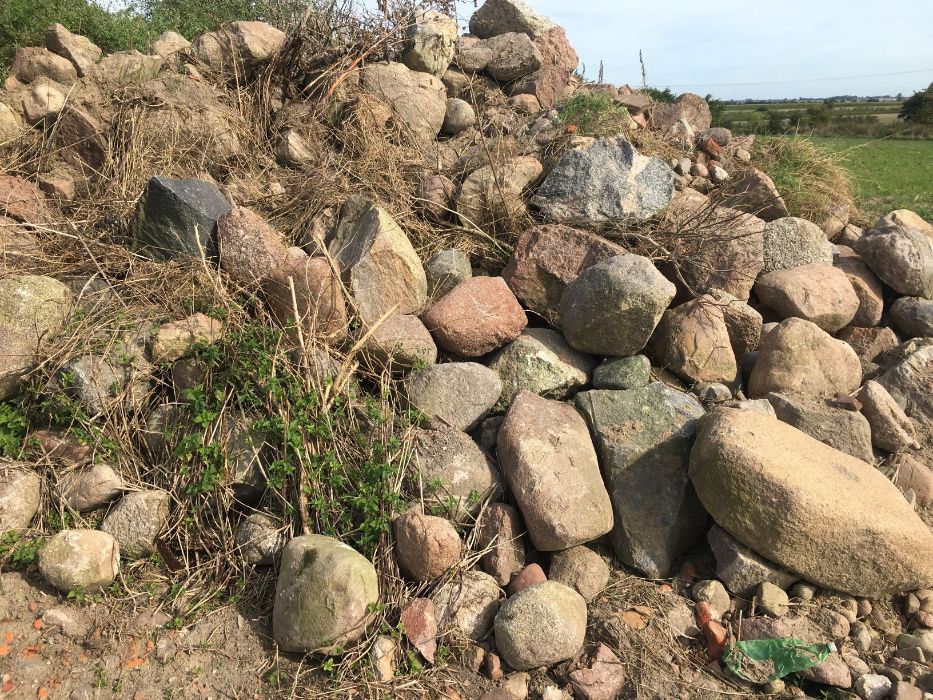 Kamień Polny Gniezno Okolice