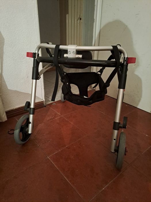 Andarilho de mobilidade verticall