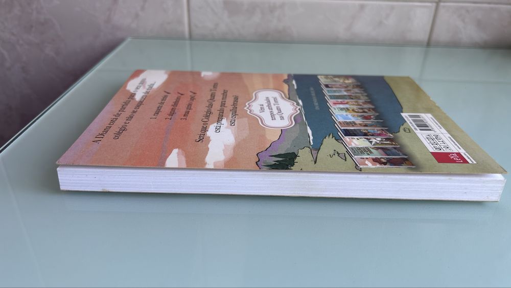 O Colégio Das Quatro Torres Livro