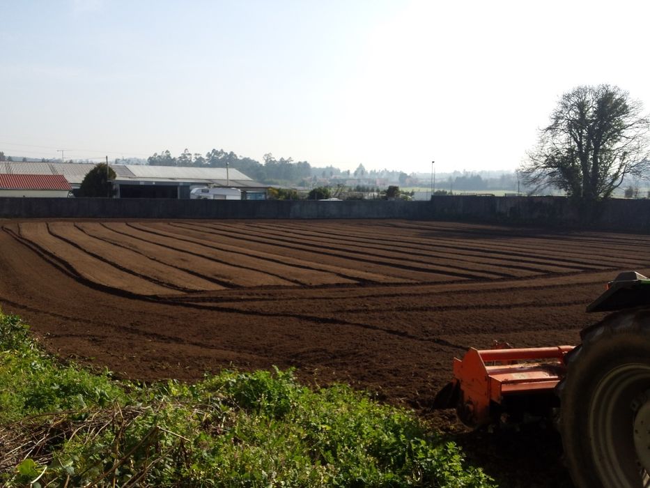 Prestação de Serviços agrícolas/florestais