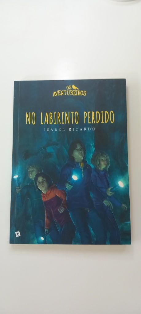 No labirinto perdido - os aventureiros