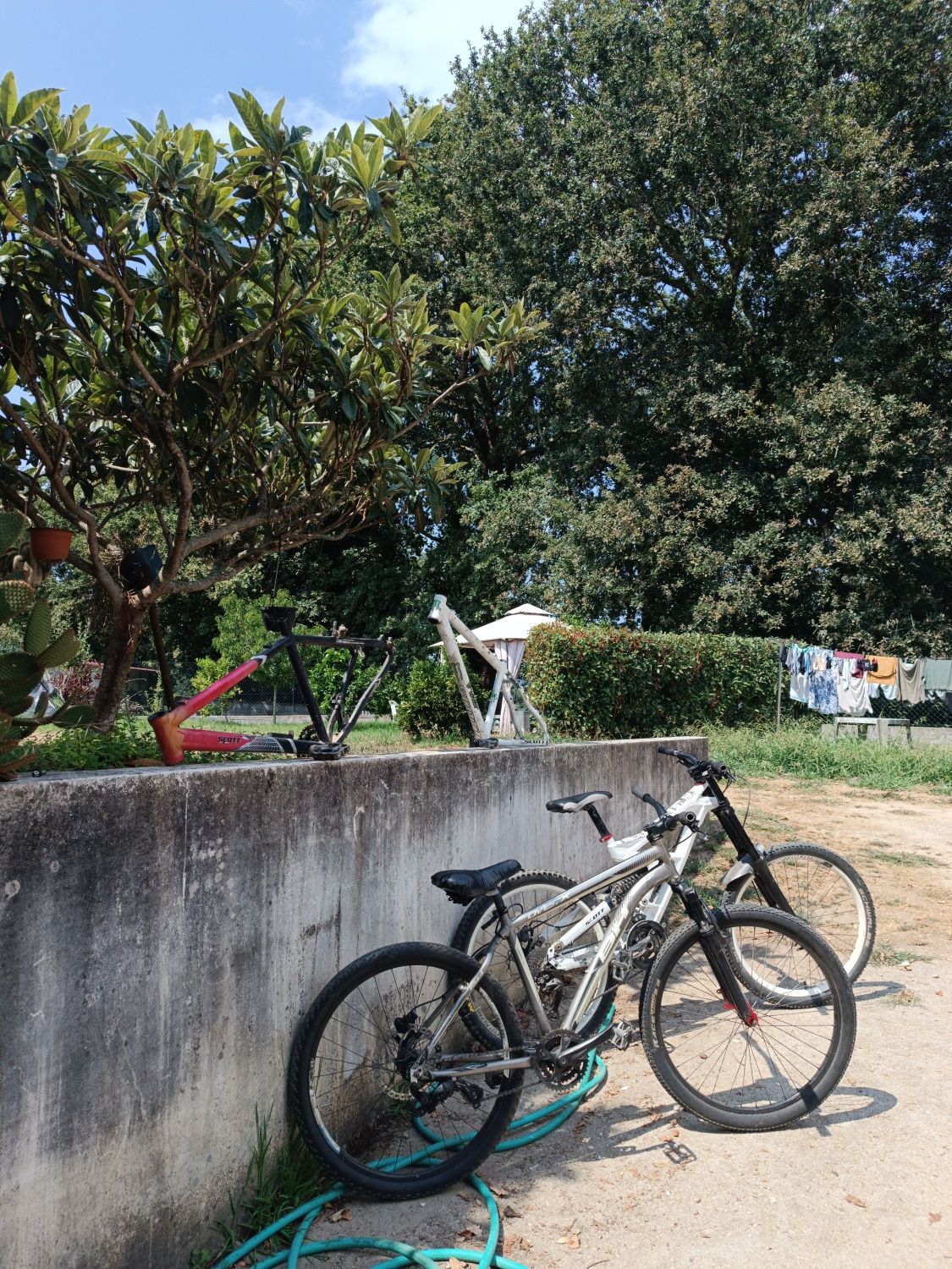 Quadro de bike dão para RL e grau
