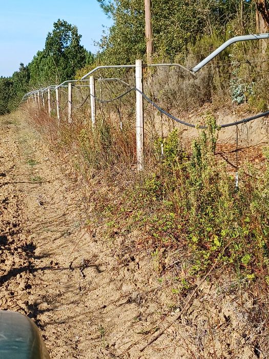 Armações, suportes para Kiwis