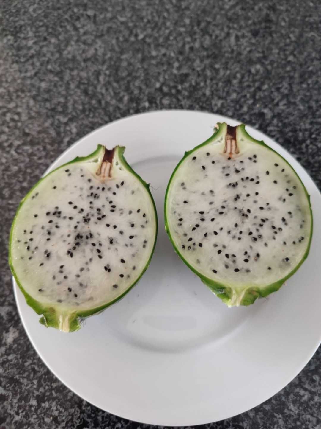 Pitaya de Coleção