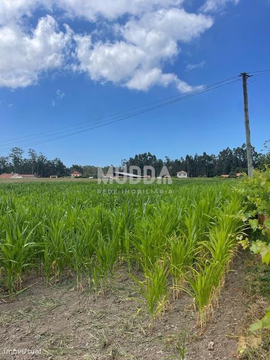 Terreno para construção
