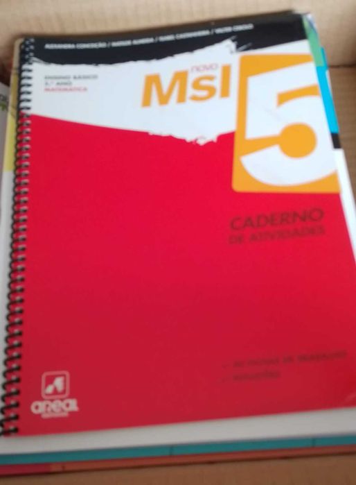 Matemática-Caderno de atividades - Recuperar nas férias