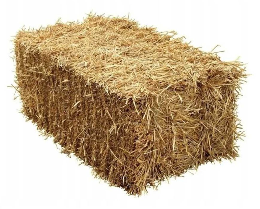 Słoma 2025 w kostkach