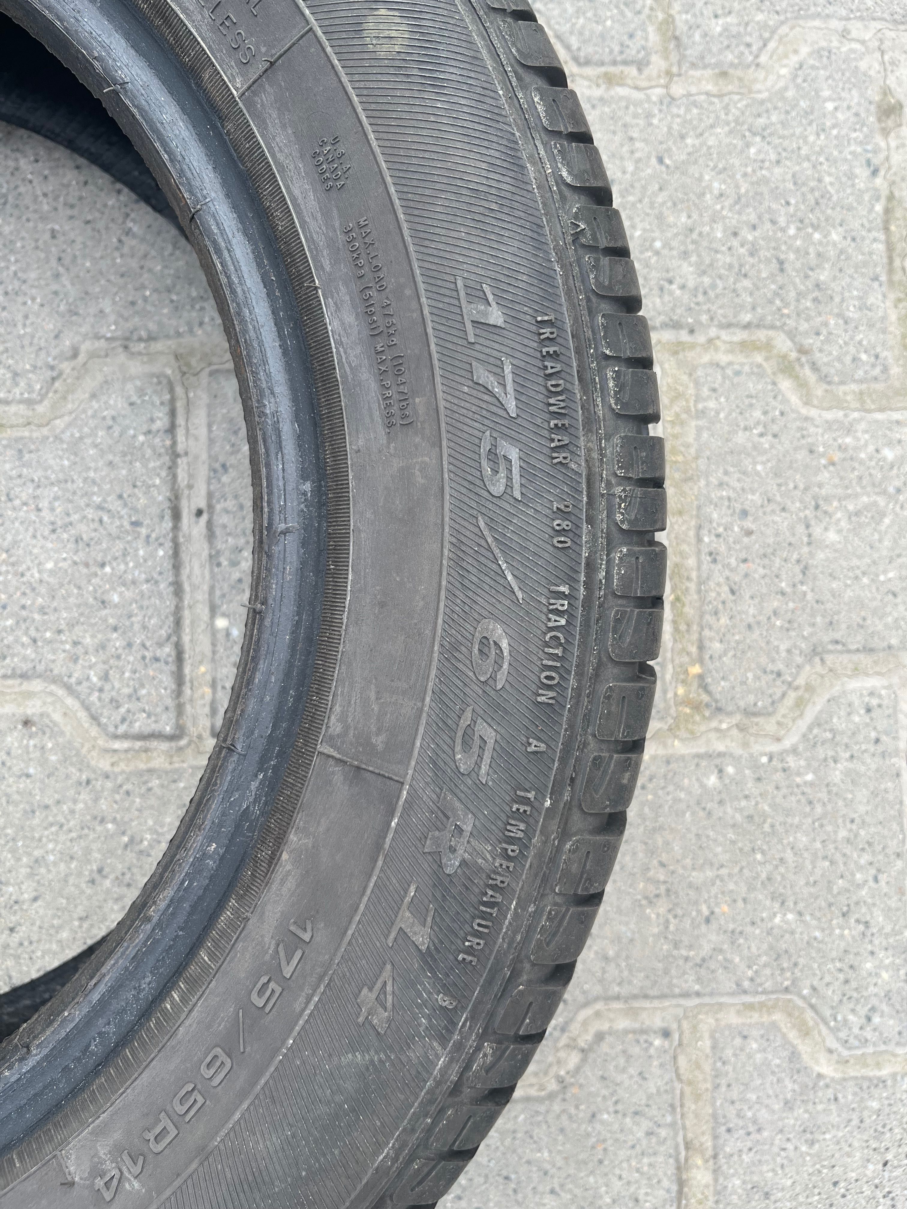 Opony letnie Dębica 175/65 R14