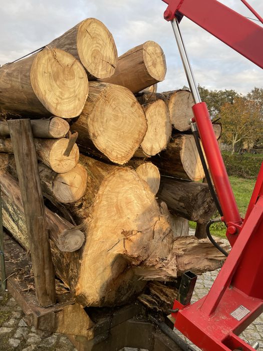 Vendo lenha com quiser