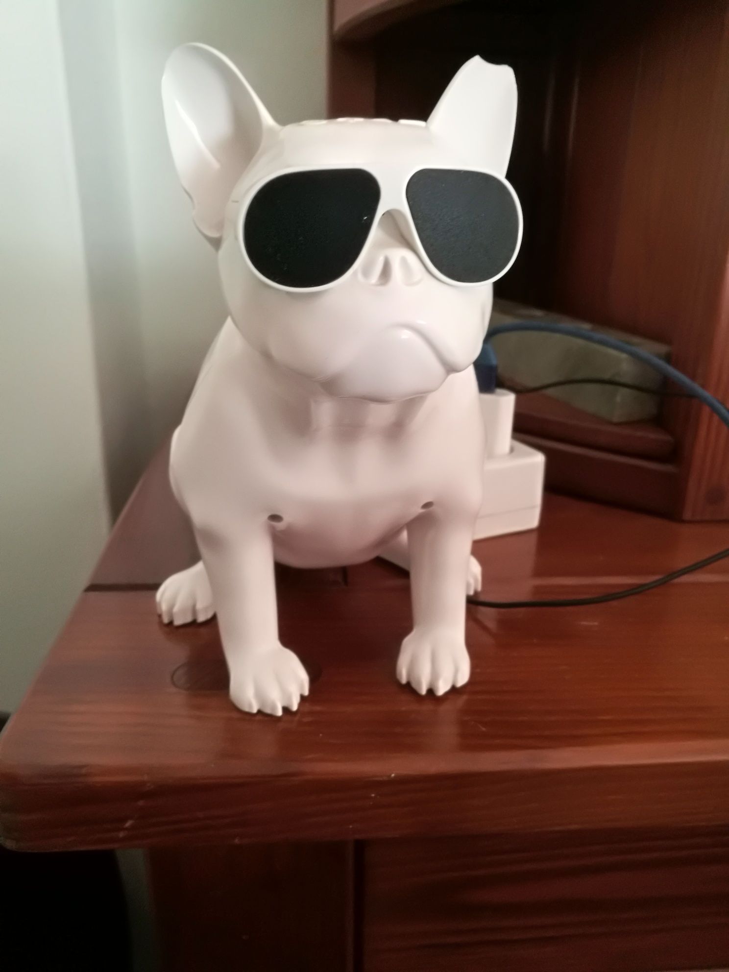 Cão bluetooth impecável