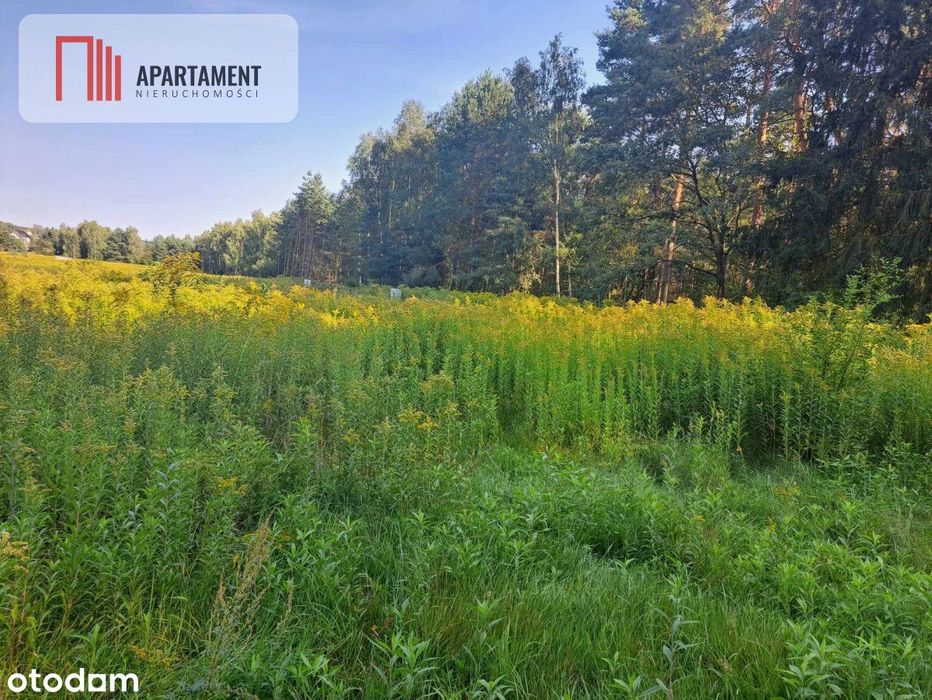 Działka 10 ar budowlana przy ścianie lasu!